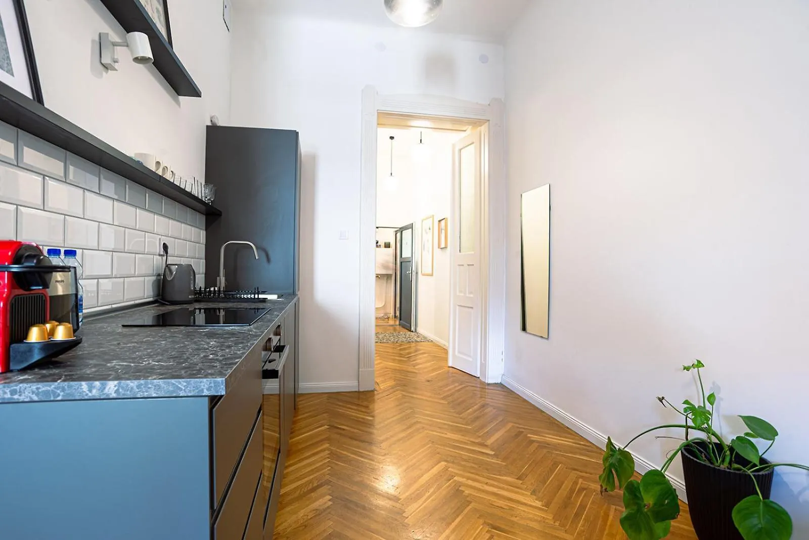 Tas Vas - Charming Apartments In Budapest